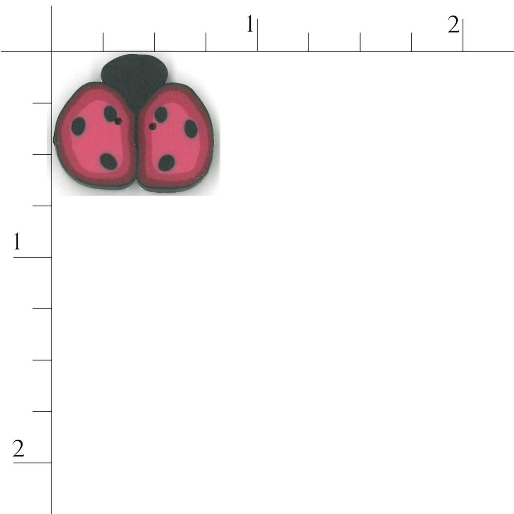 medium cranberry ladybug