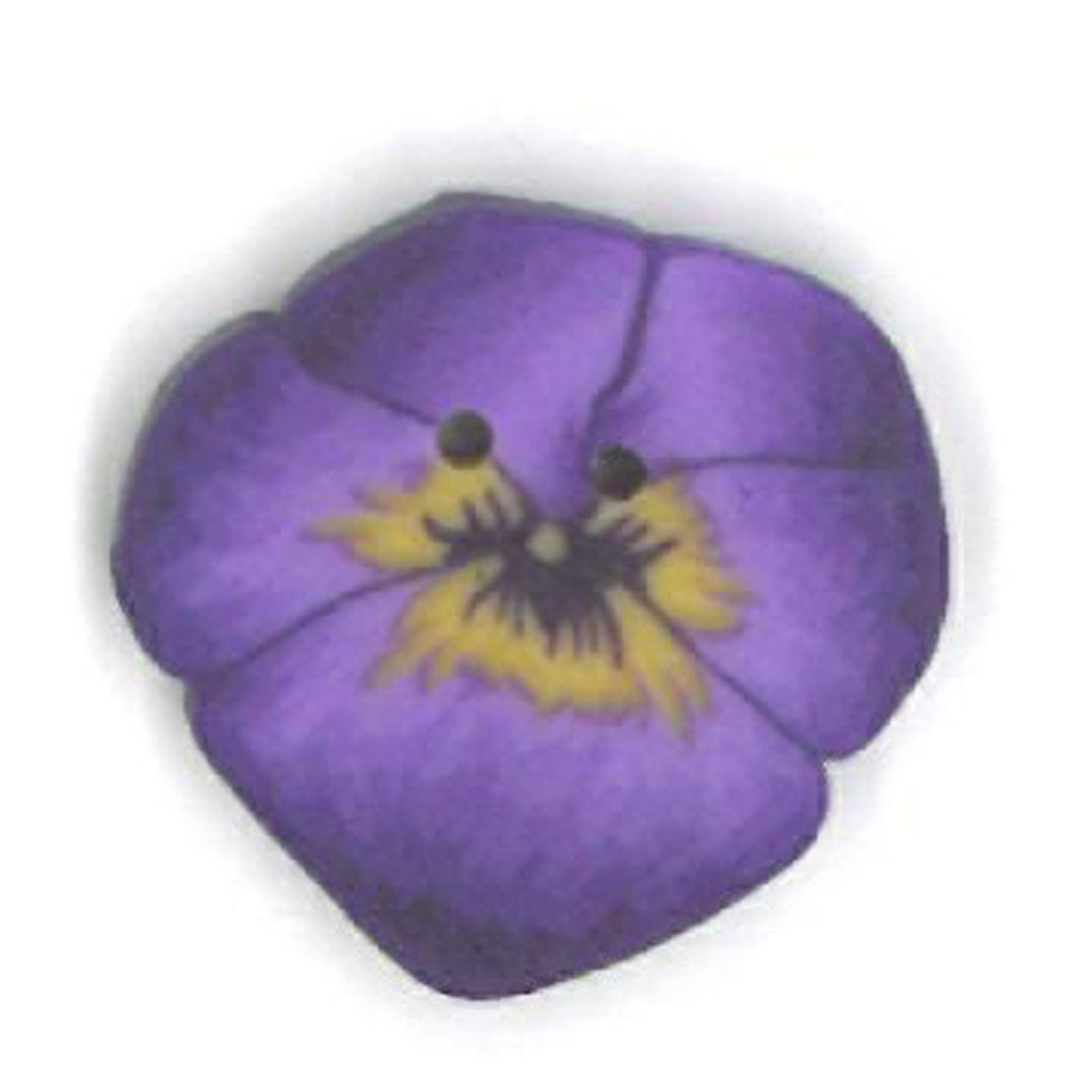 tiny purple pansy