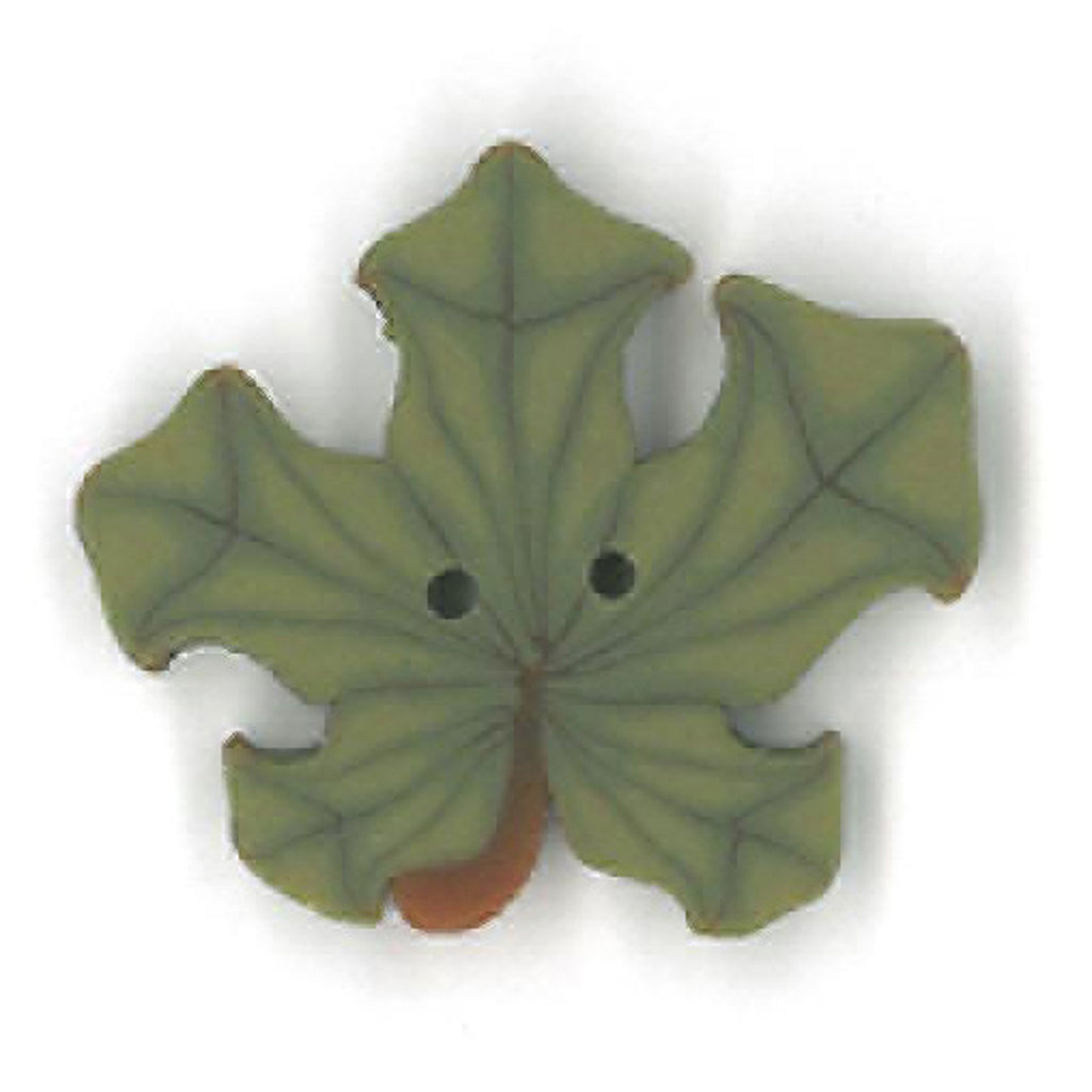 small pumpkin leaf