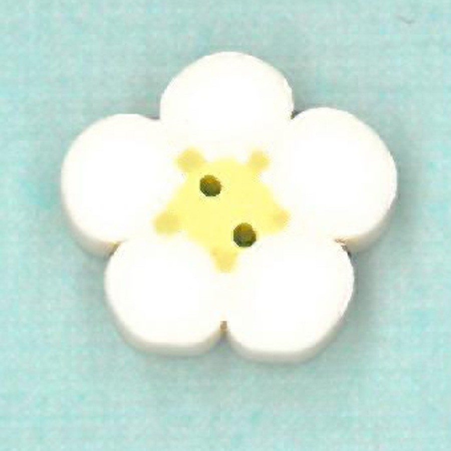 small white flower