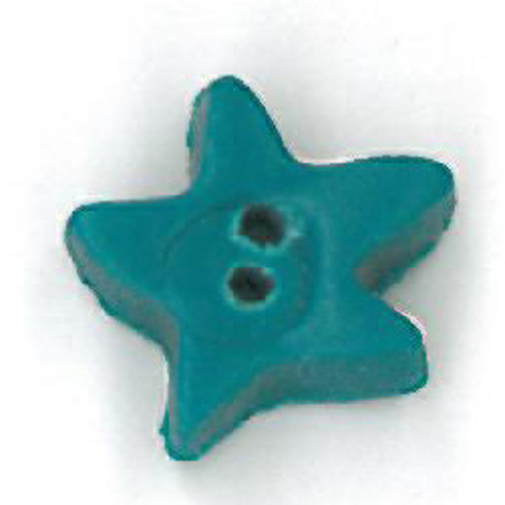 small tropical ocean star