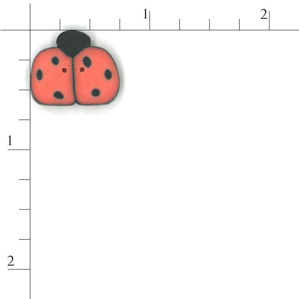 medium orange ladybug