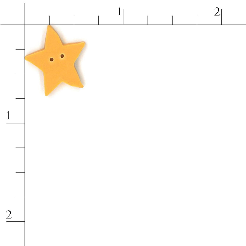 nancy's large star