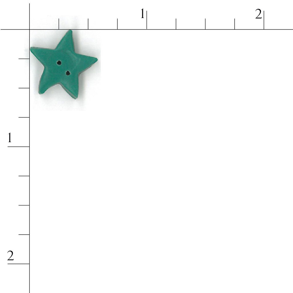 large evergreen star